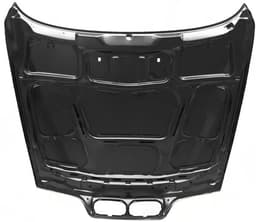 BMW 5 Serisi E39 Motor Kaputu | TYG 41618238592