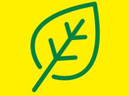 BMW 3 Serisi F30, F31 318 d N47 Hava Filtresi | MANN C 24024