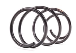 BMW 5 Serisi E39 Ön Helezon Yayı | FROW 8161233002