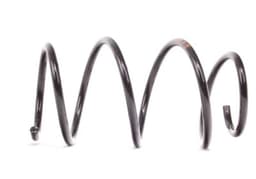 BMW 5 Serisi E39 Ön Helezon Yayı | FROW 8161233002